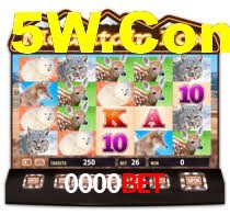 0000bet,0000bet.com
